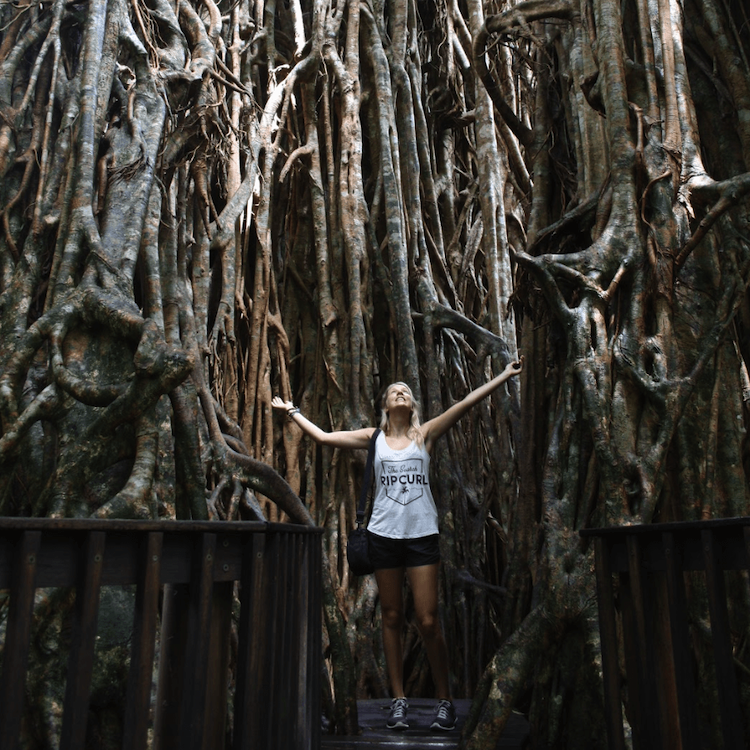 Oostkust australie hoogtepunten cairns daintree