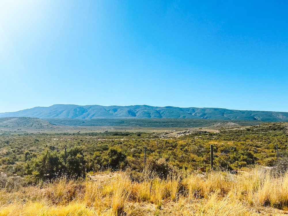 Oudtshoorn onderweg Zuid-Afrika