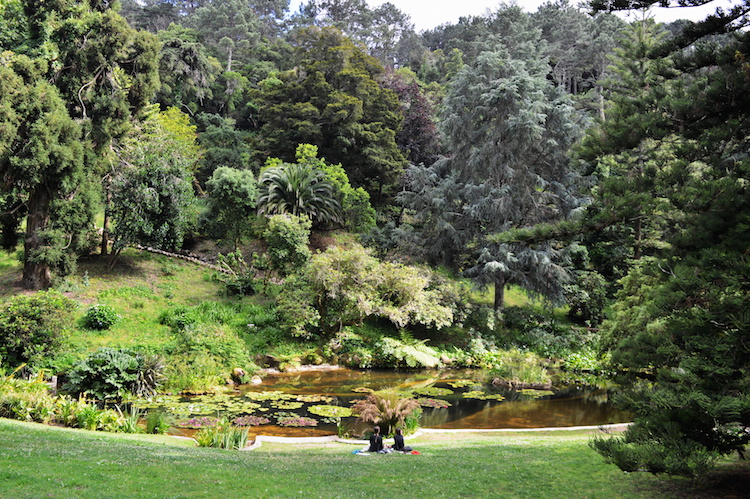 PORTUGESE RIVIERA Monserrate