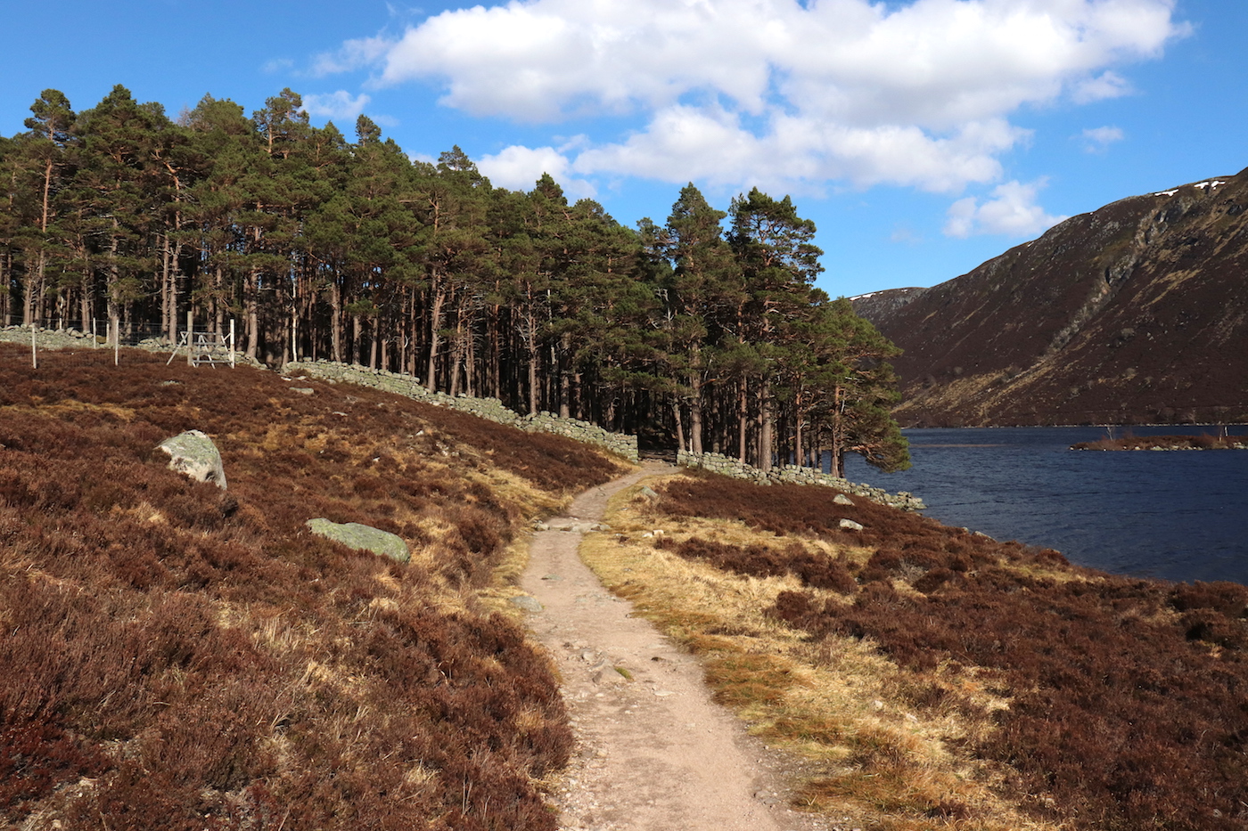 Pad Schotland Cairngorms National Park