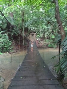 Palenque jungle mexico