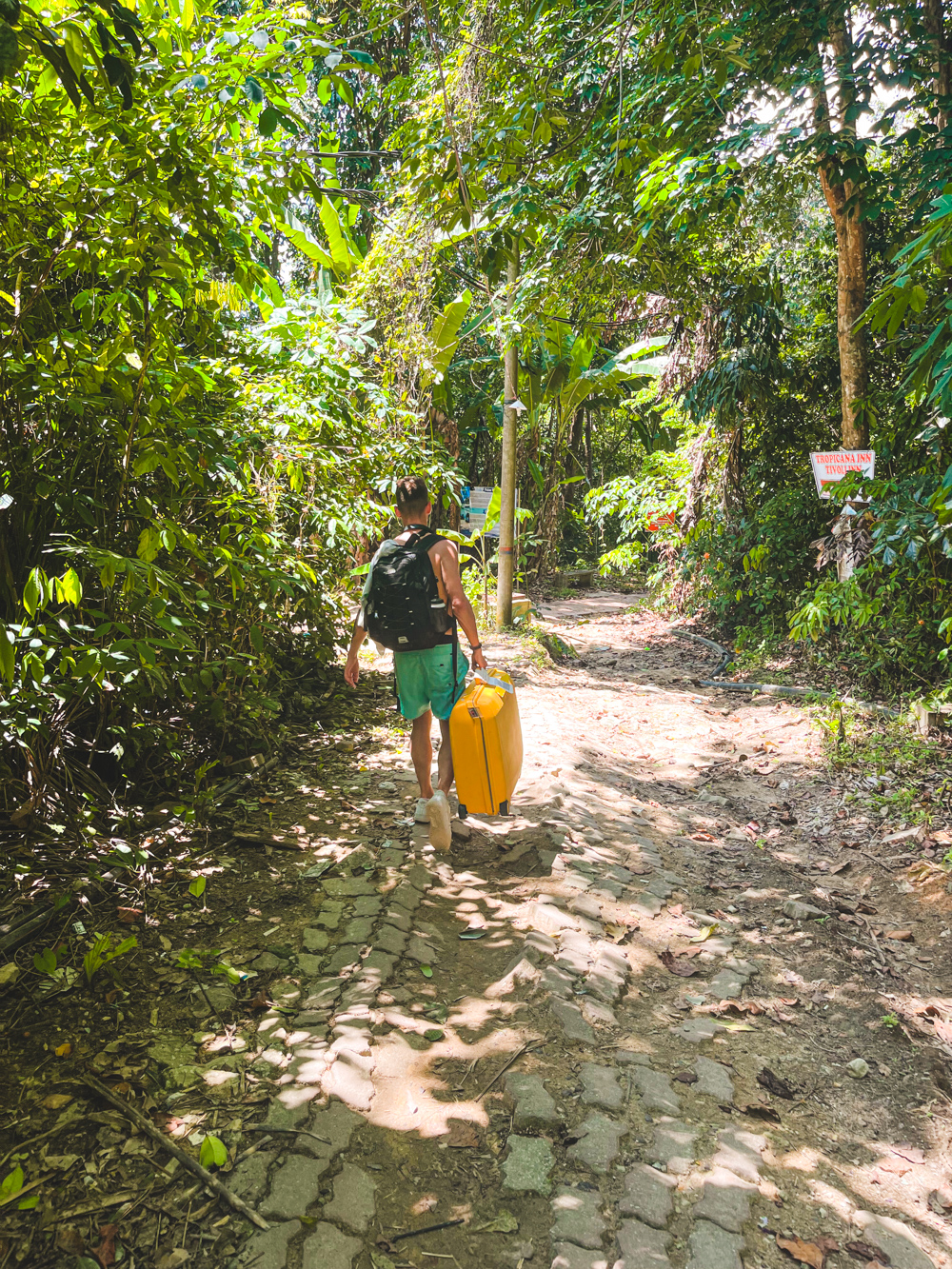 Perhentian Kecil jungle