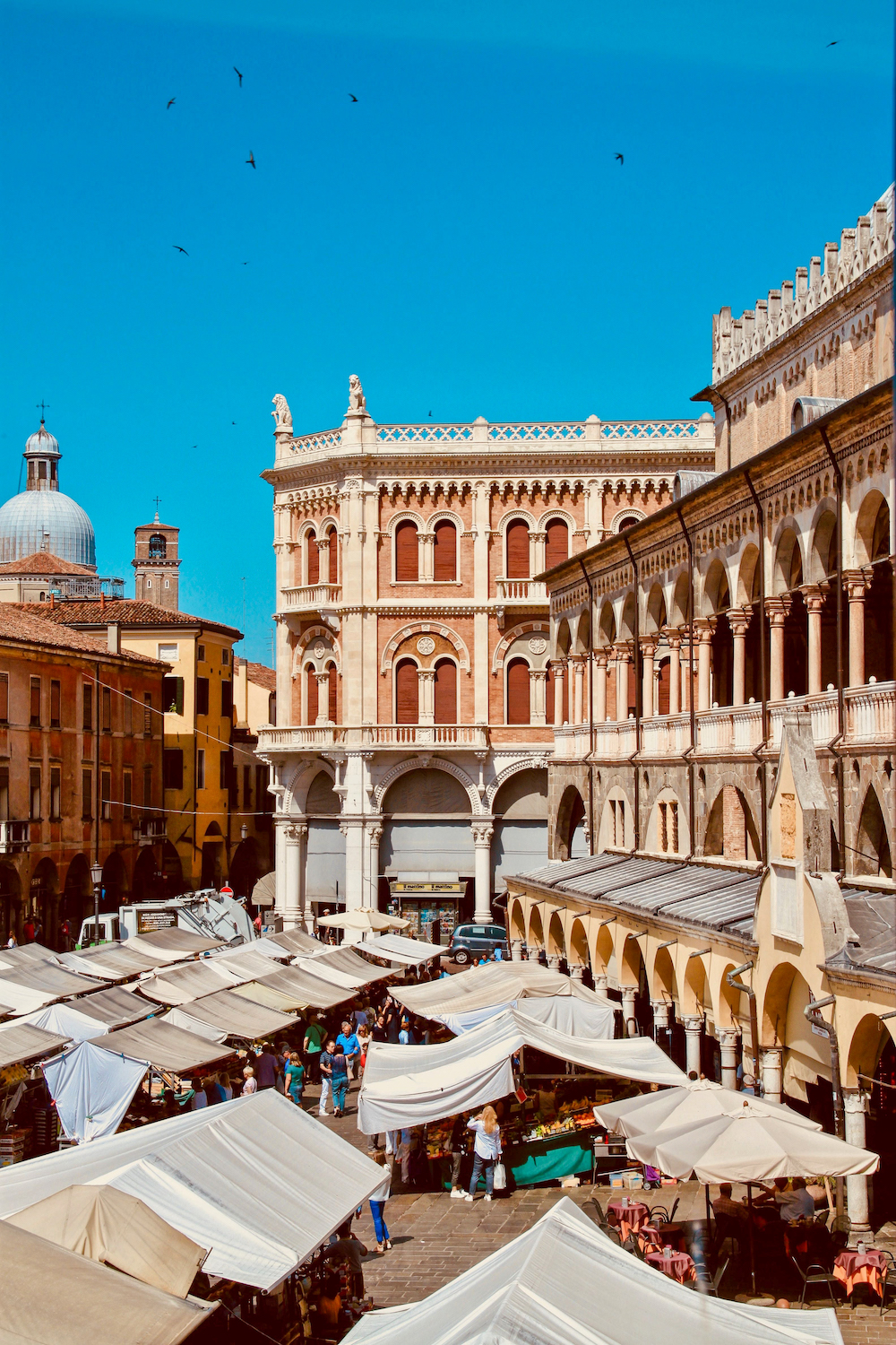 Piazze delle Erbe - Palazzo della Ragione