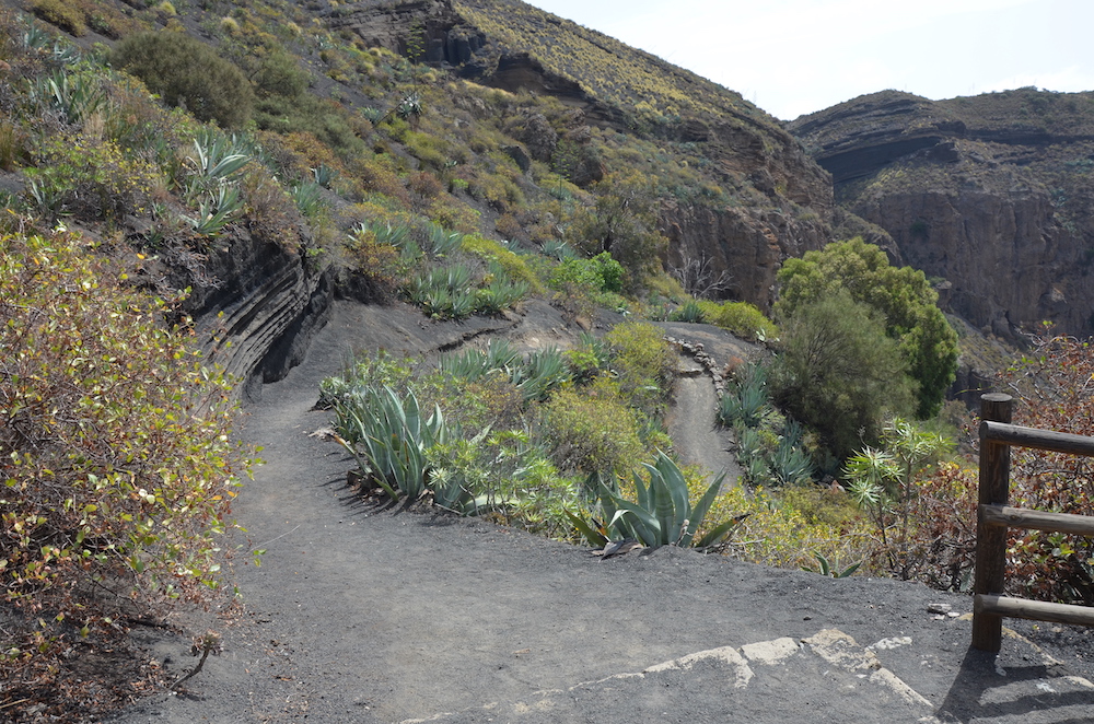 Pico de Bandama, Gran Canaria bezienswaardigheden