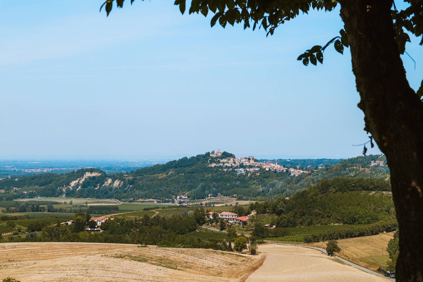 Piemonte Wijngaarden