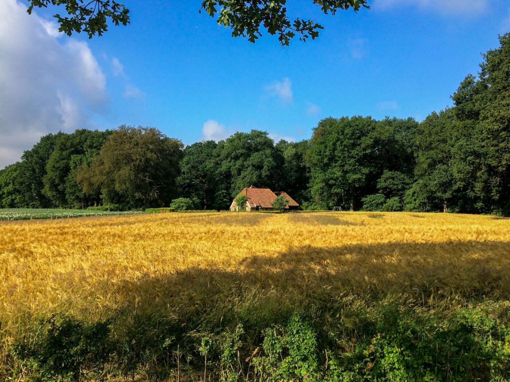 PieterPad lopen