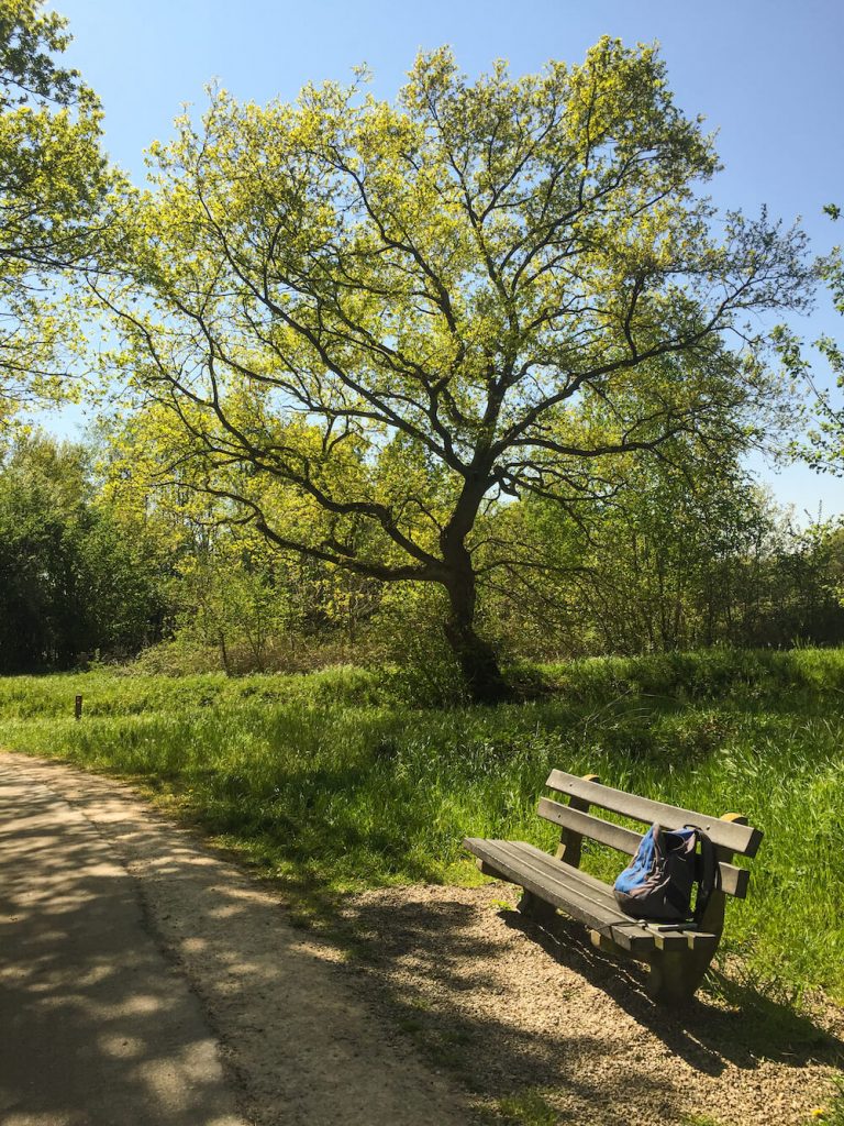 PieterPad lopen ervaringen