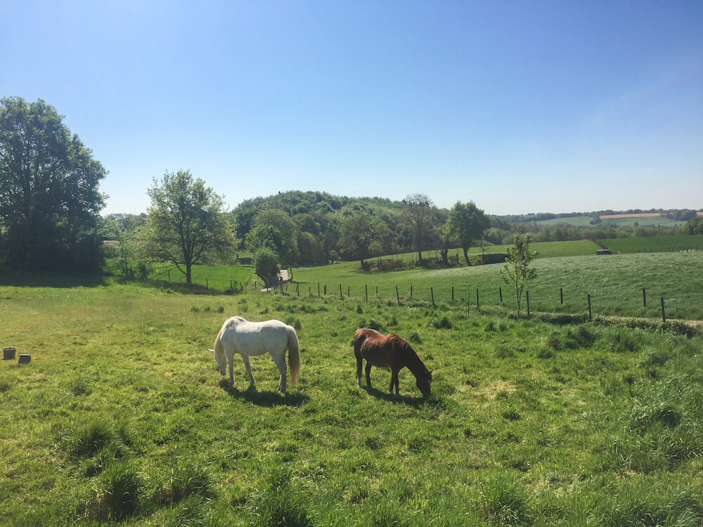 PieterPad lopen wandelen