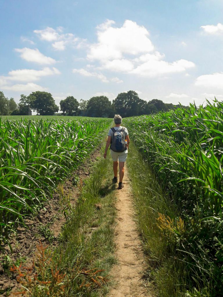 PieterPad meerdaagse wandeltocht nederland