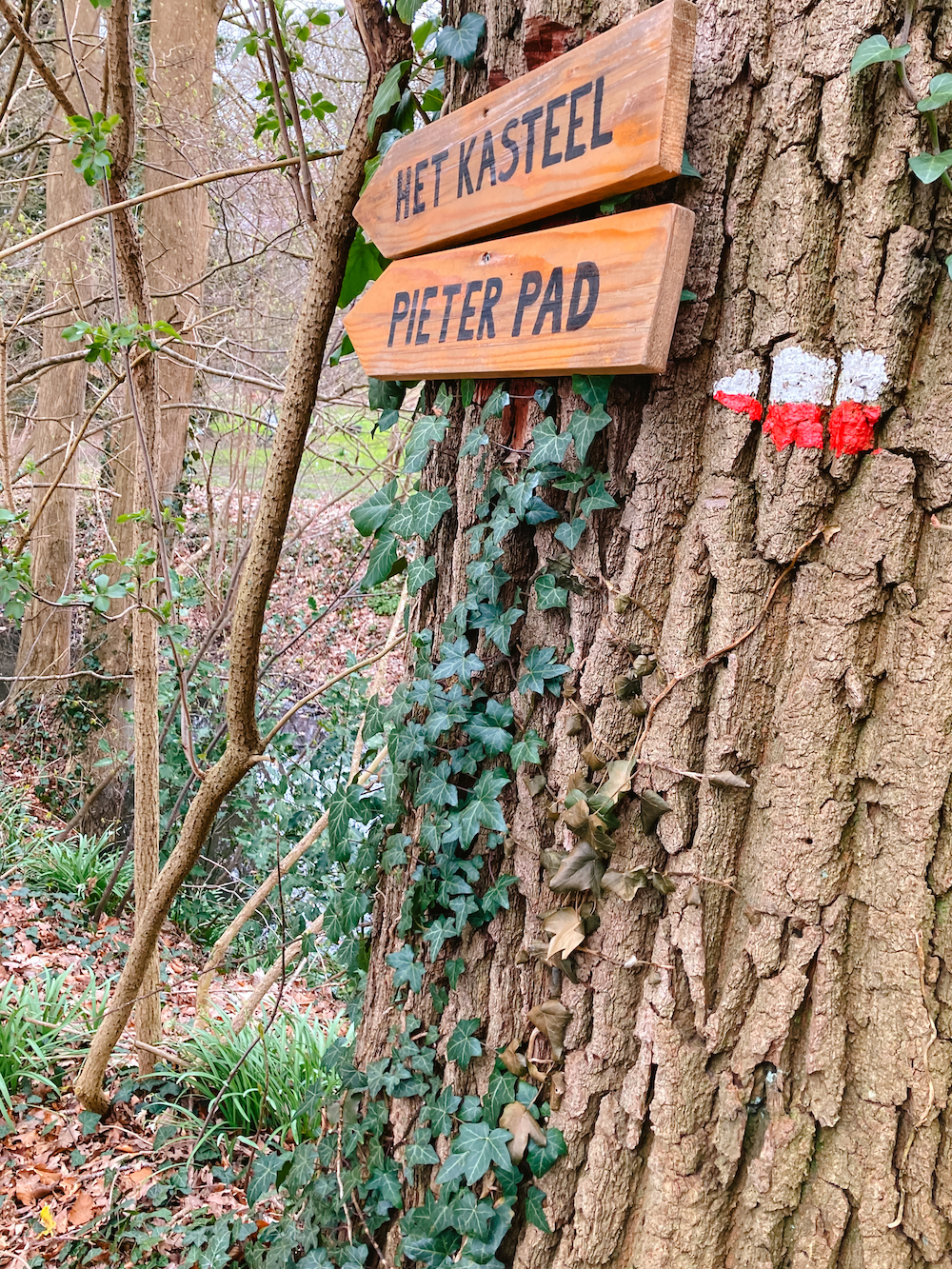 Pieterpad, Wandelroutes Achterhoek