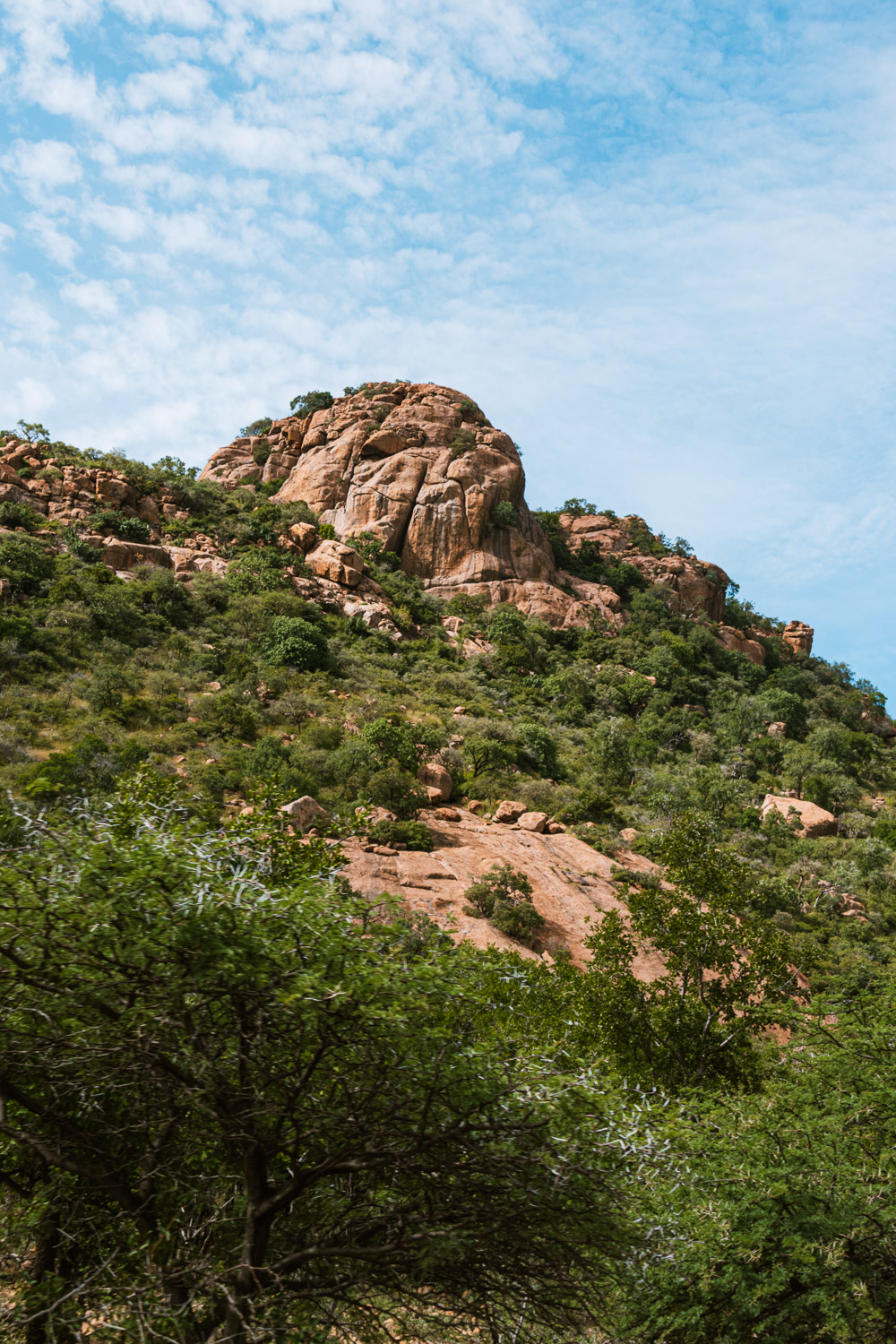 Pilanesberg national park rotsen