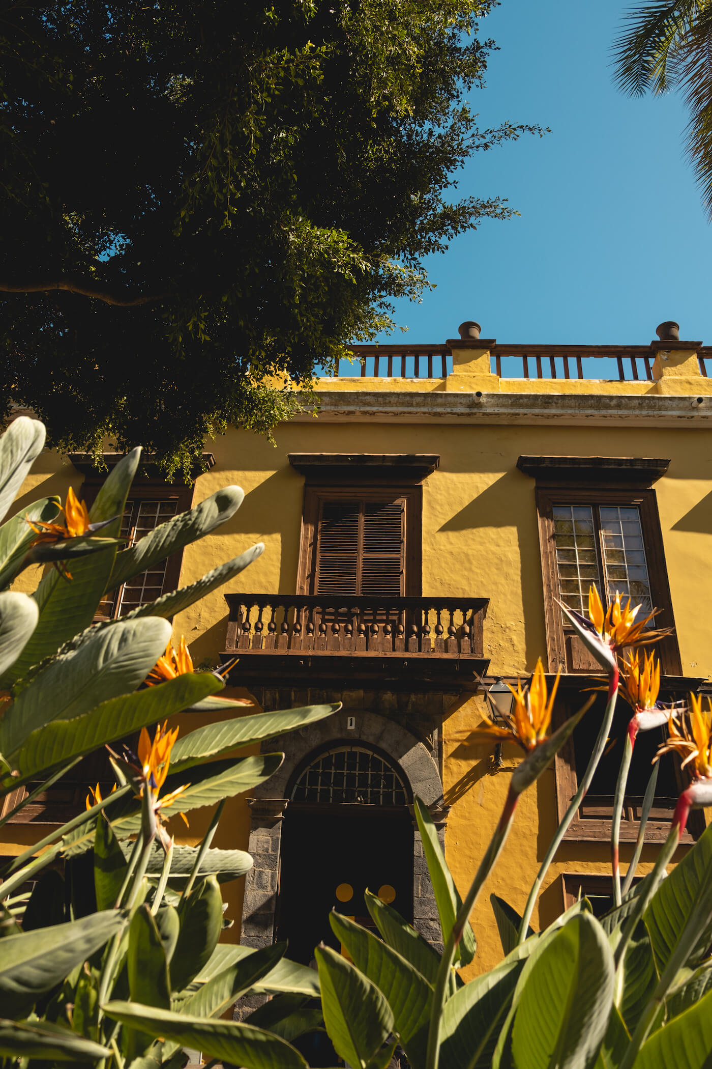 Plaza La Constitución Garachico 2