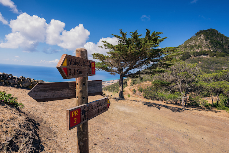 Porto Santo Walking Pico Castelo