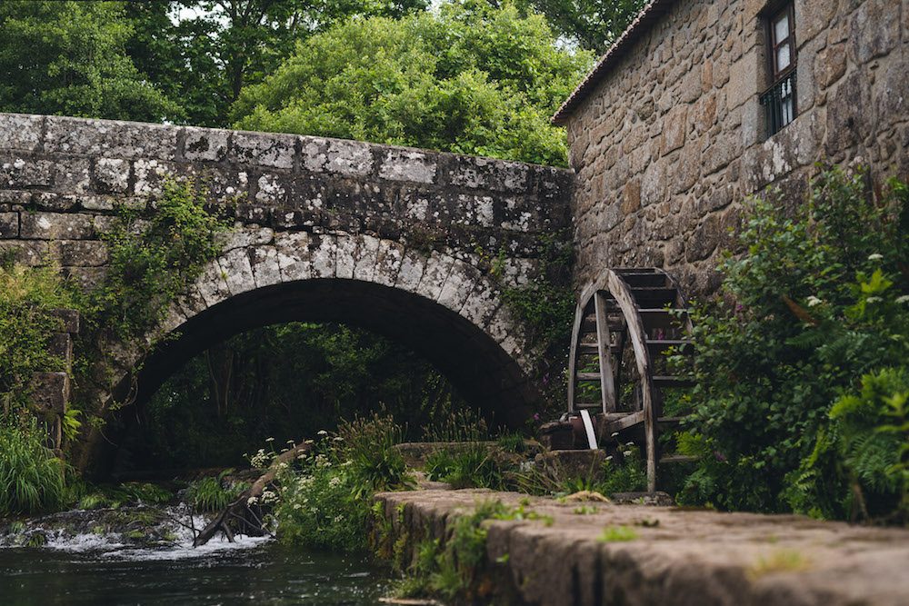 Portugal natuur brug