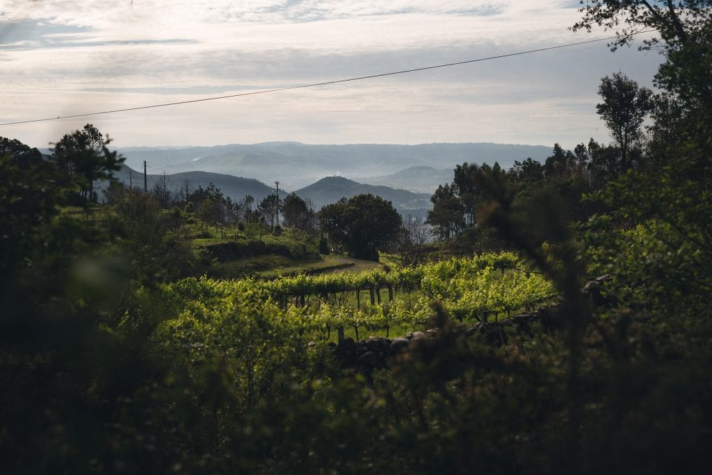 Portugal NATUur