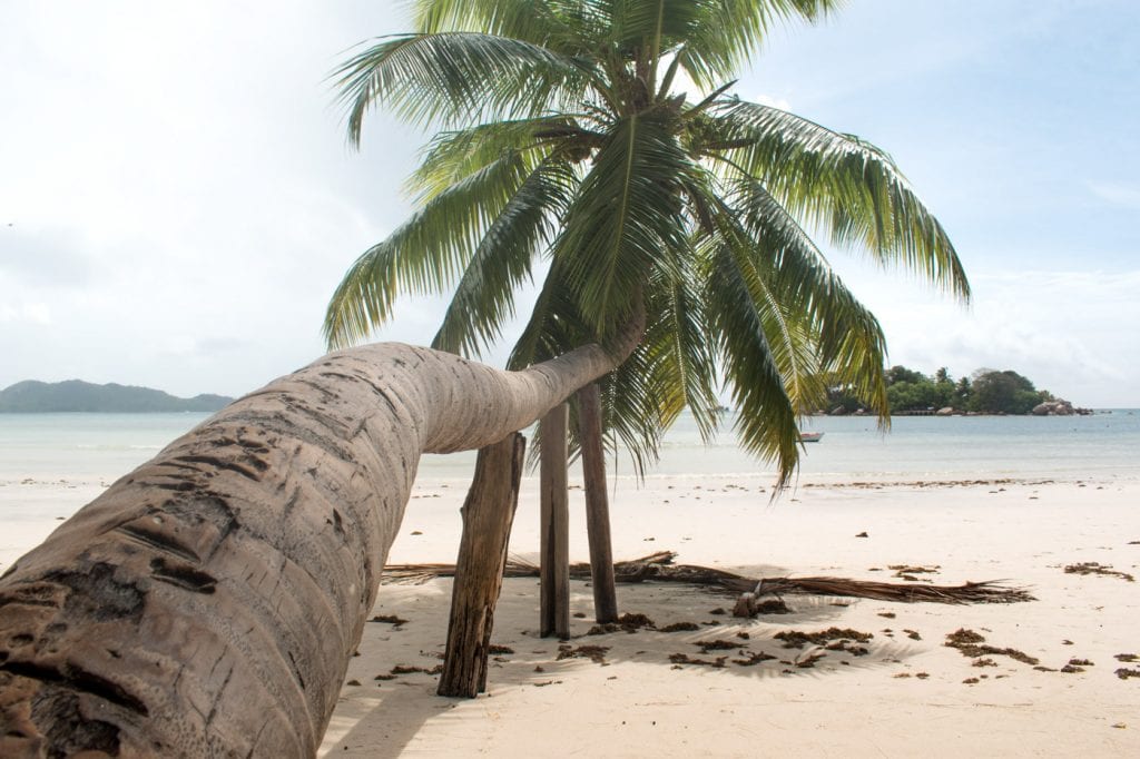 Praslin Seychellen