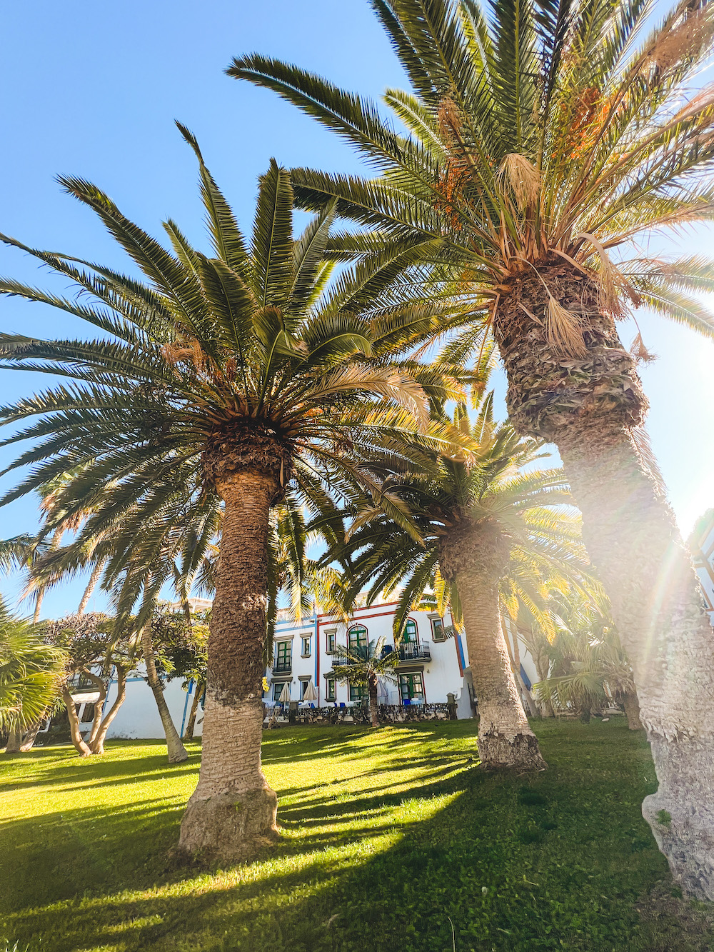 Puerto de mogan bezienswaardigheden