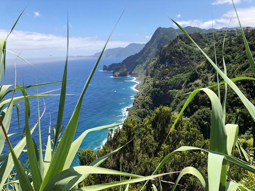 Quinta do Furão, Madeira