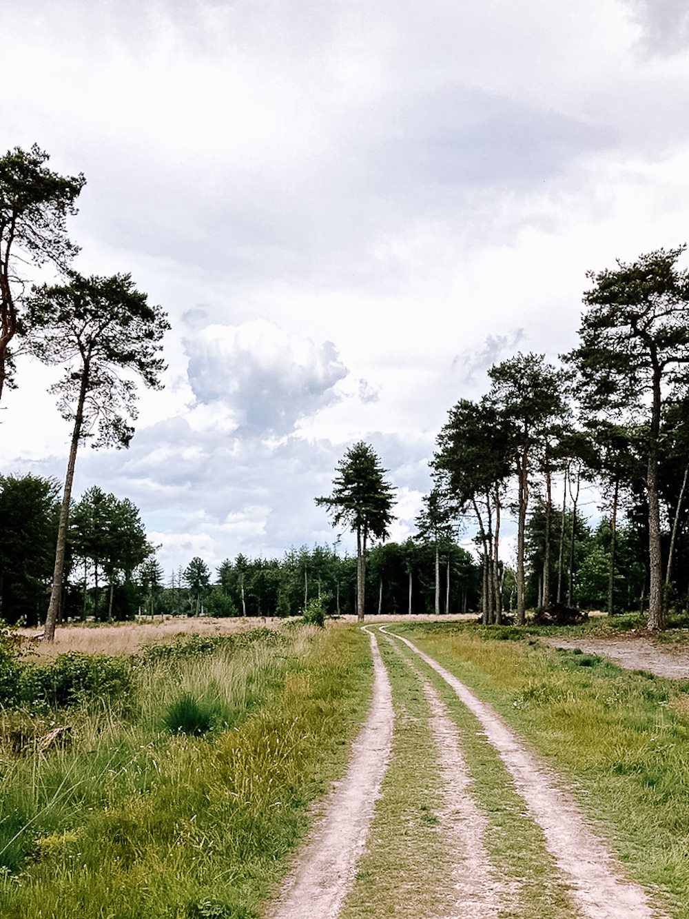 Regte Heide Wandelroutes