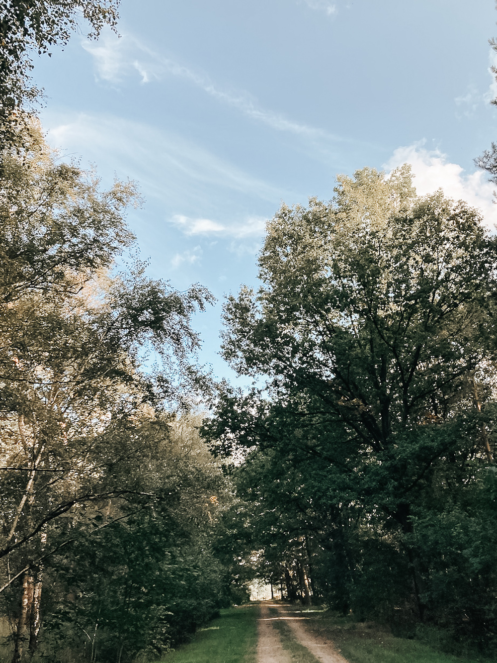 Regte Heide wandelen