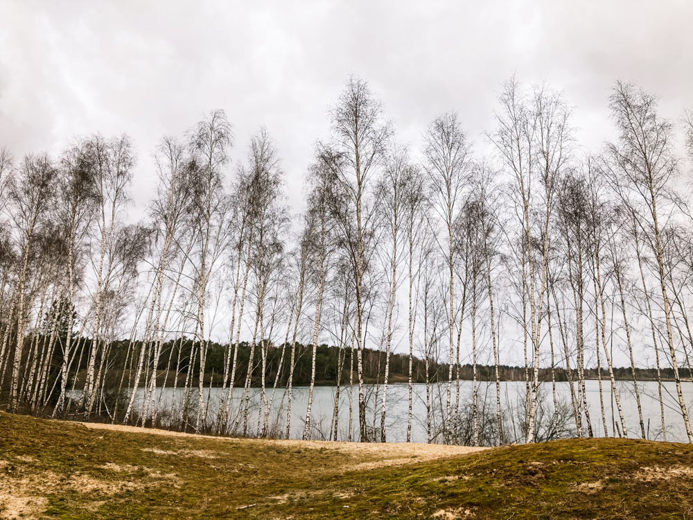 Reindersmeer Maasduinen limburg