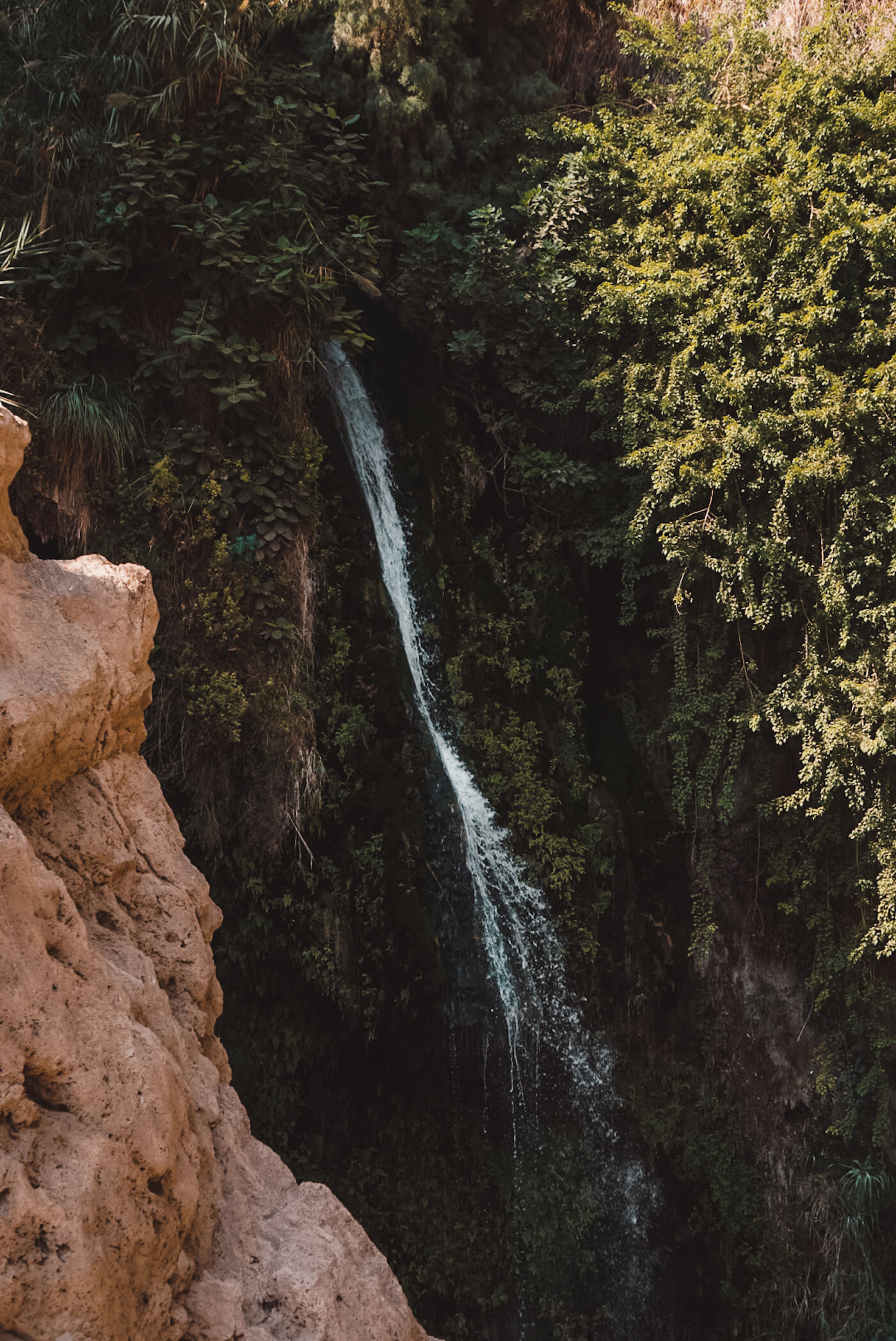 Reis naar Israel Ein Gedi