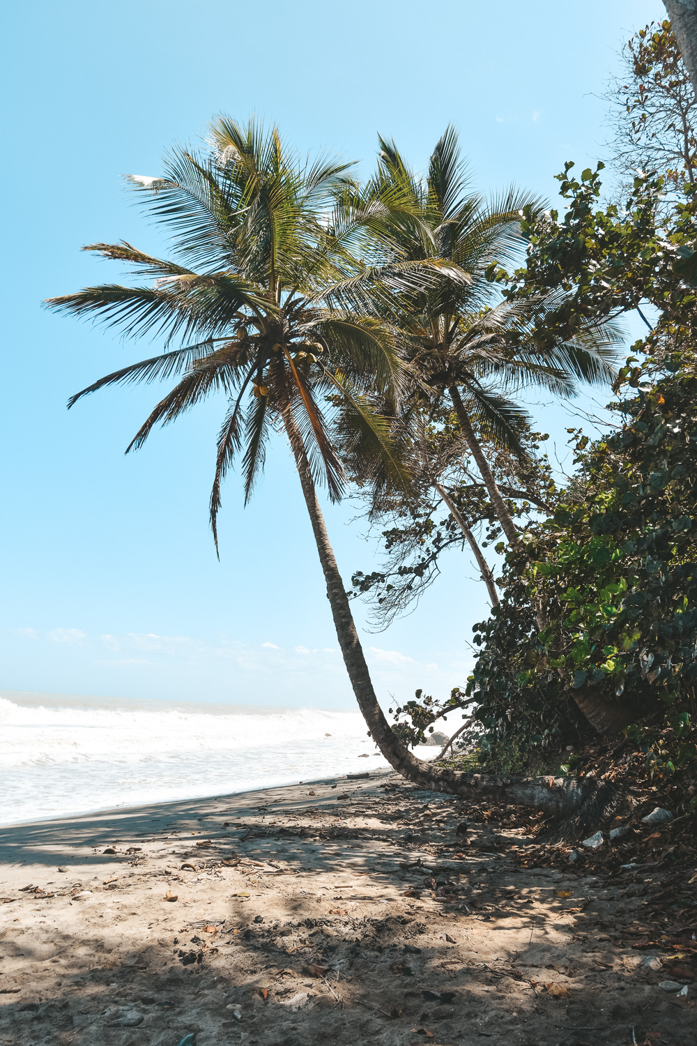 Reisroute Colombia Palomino strand