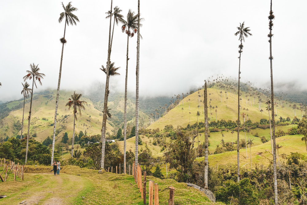 Reisroute Colombia Valle de Cocora