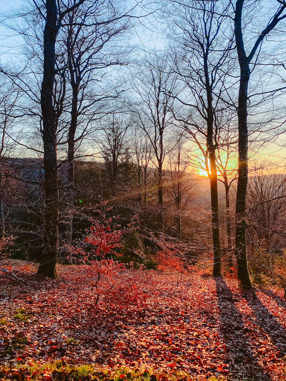 Rensiwez Ardennen