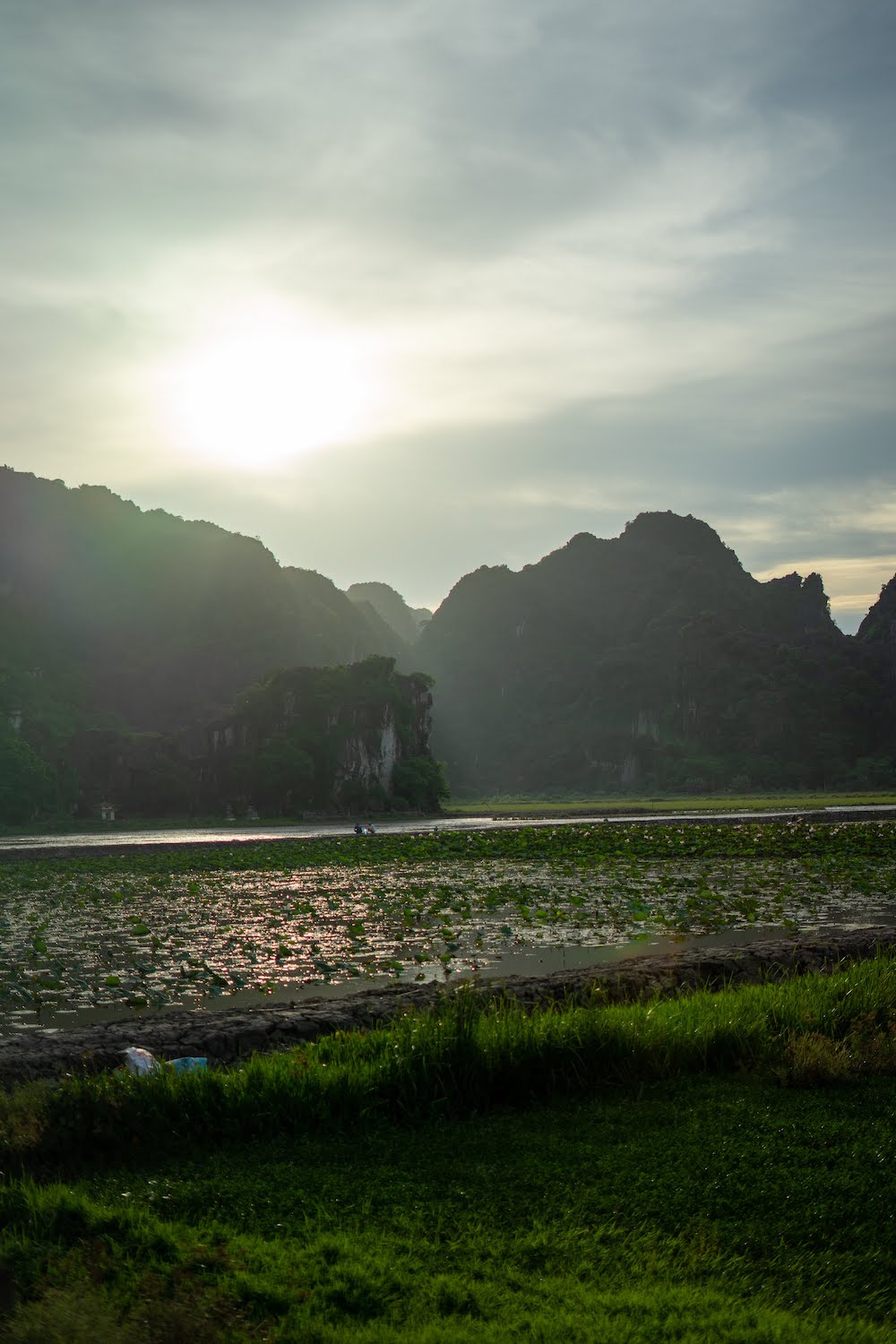 Rijstvelden in Vietnam