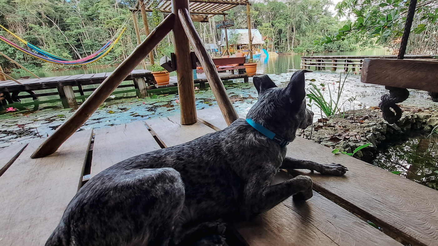 Rio Dulce hostel guatemala