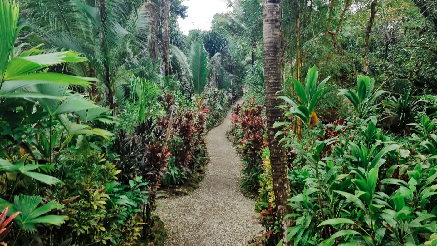 Rio Dulce jungle