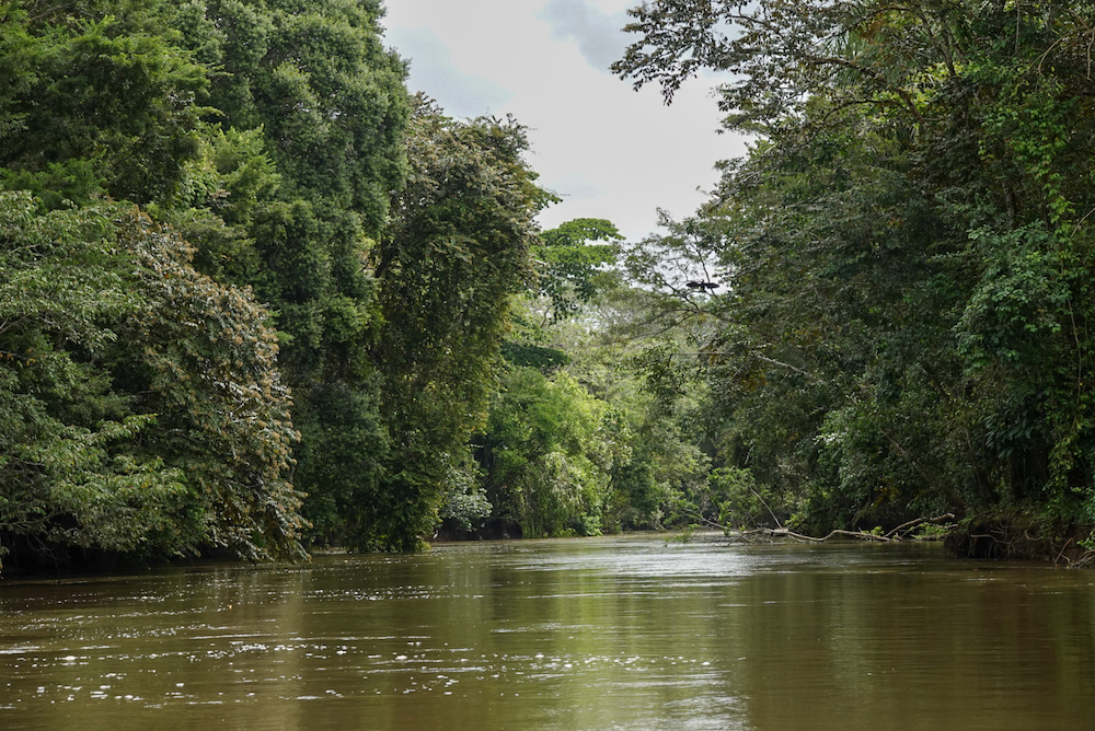 Rivier bij Boca Tapada