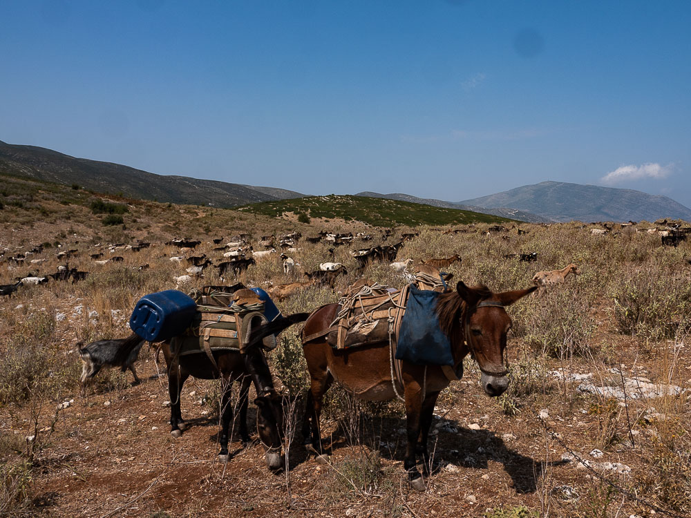 Roadtrip Albanie Tips voor Orikum