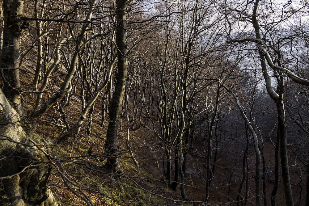 Roadtrip Mons Klint in Zuid Denemarken 6