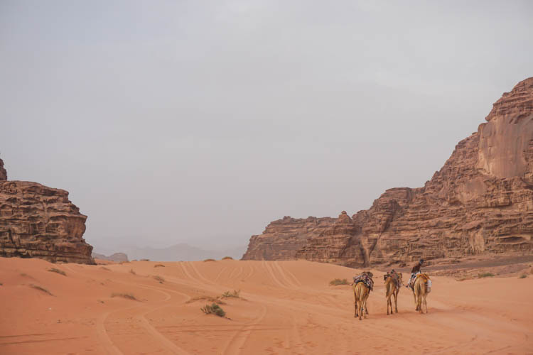 Roadtrip israel jordanie wadi rum