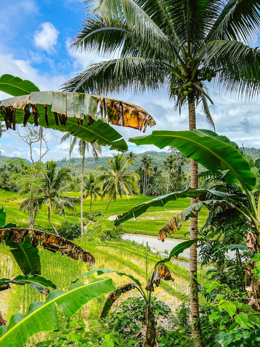 Rond touren op Siquijor