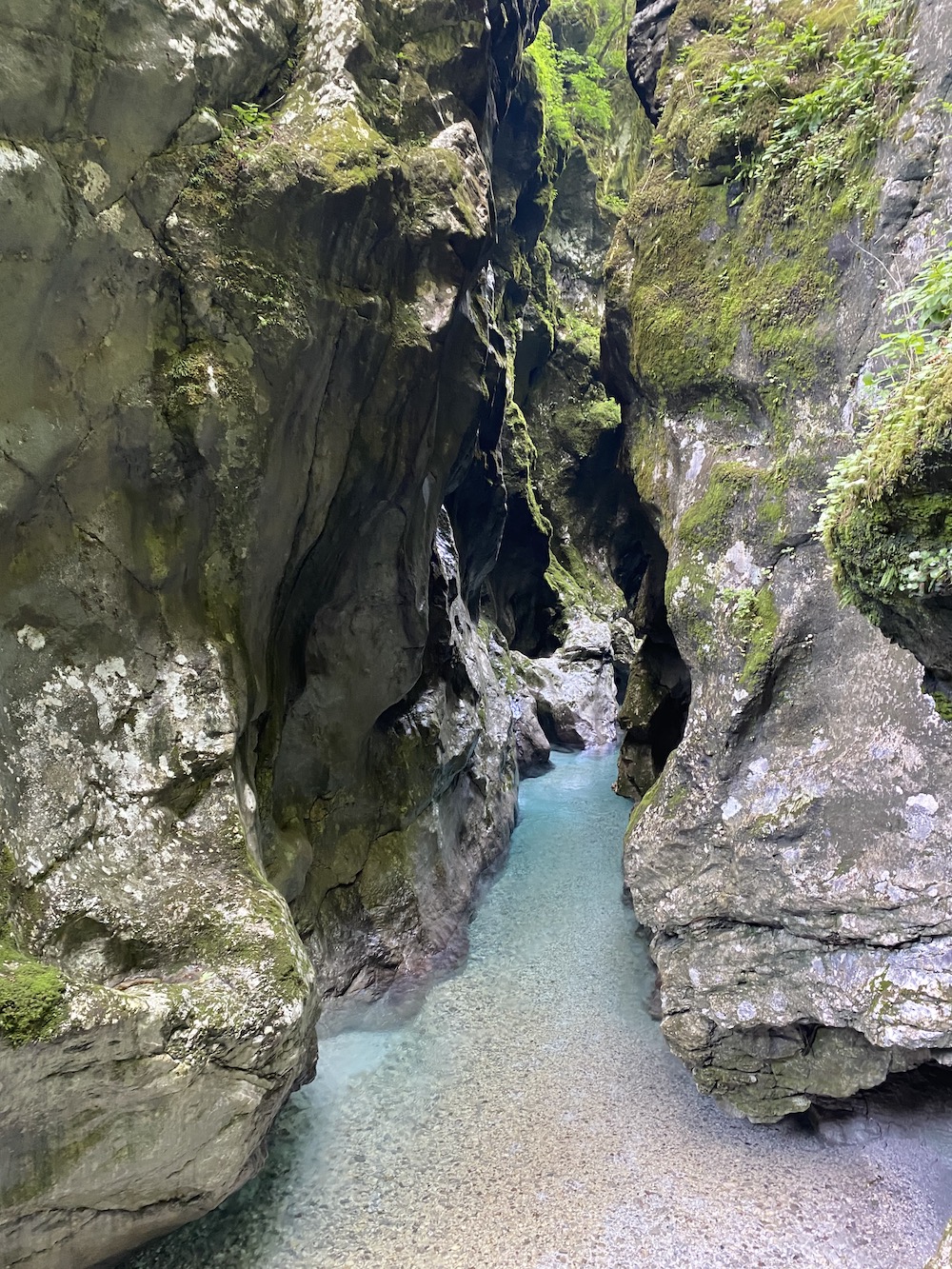 Rondreis Slovenie, Vintgar Gorge