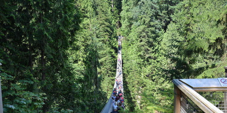 Rondreis West Canada Suspension Bridge Vancouver