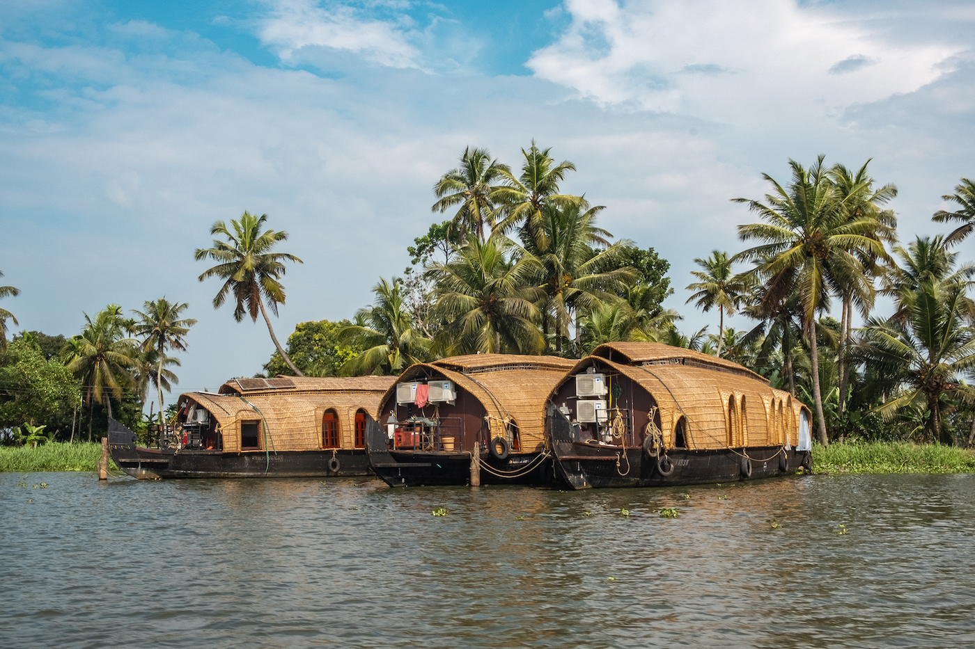 Rondreis zuid-india alleppey