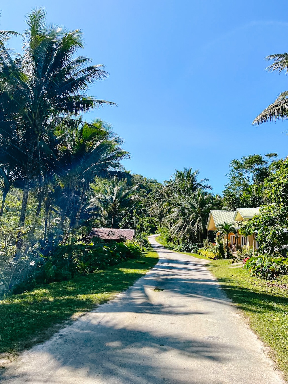 Rondtouren Siquijor