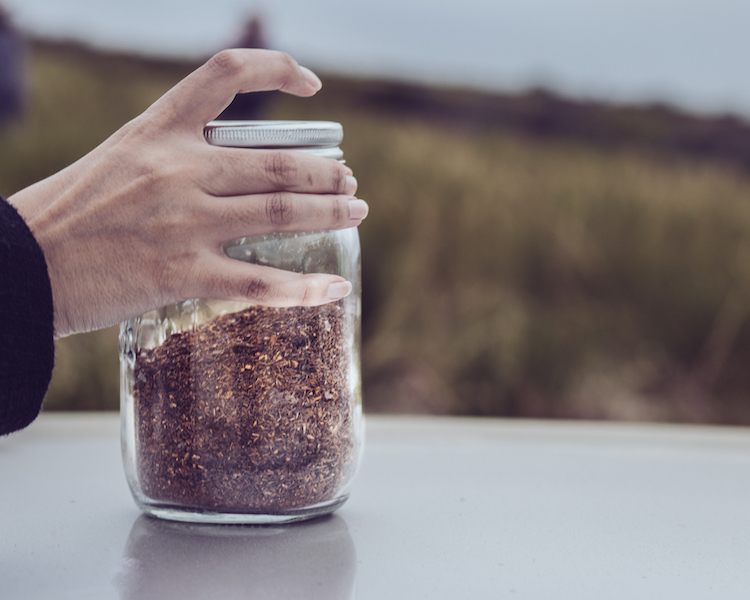 Rooibos tee in een pot cederberg zuid-afrika