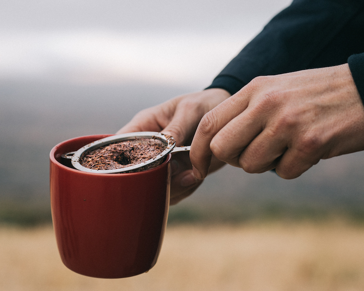 Rooibos thee maken in cederberg zuid-afrika