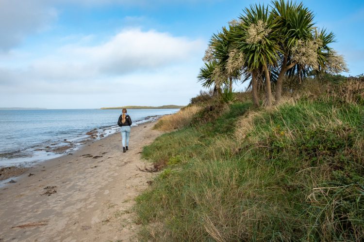 Rosslare wales ierland roadtrip