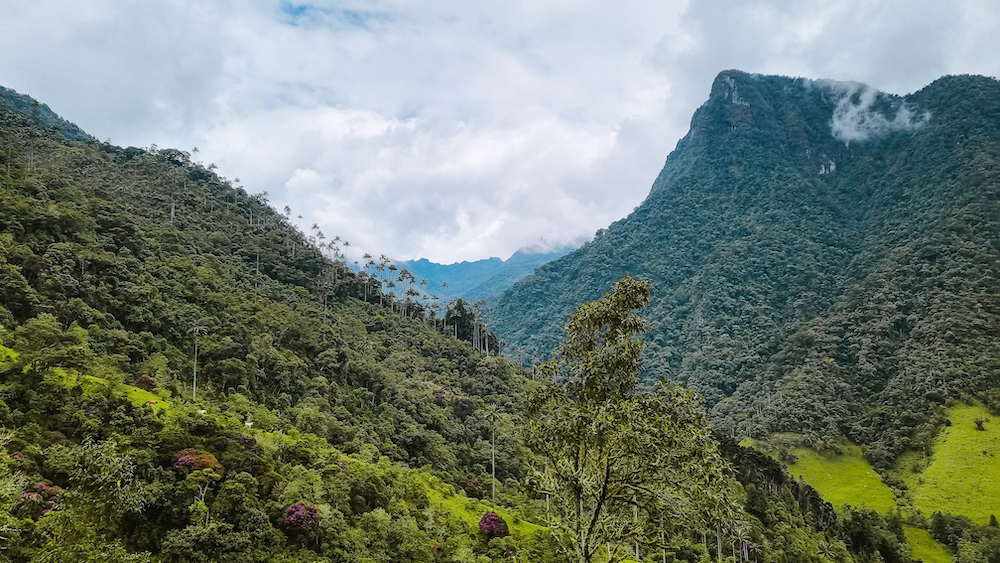 Route naar Valle de Cocora