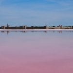 Roze Meer aigues mortes