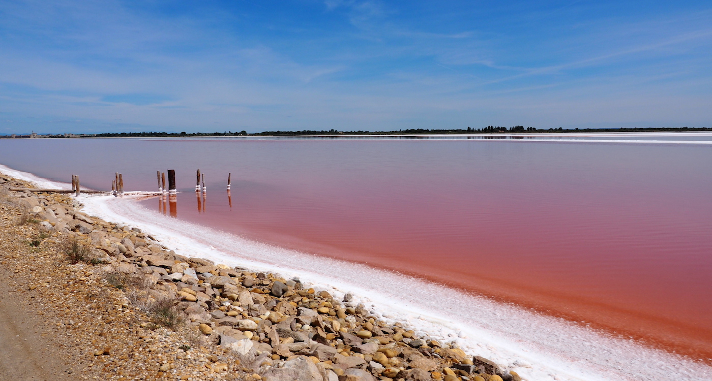 Ontslag Net zo Niet meer geldig Wauw, dit roze meer in Frankrijk is bizar mooi en wordt bewoond door  Flamingo's! | WeAreTravellers