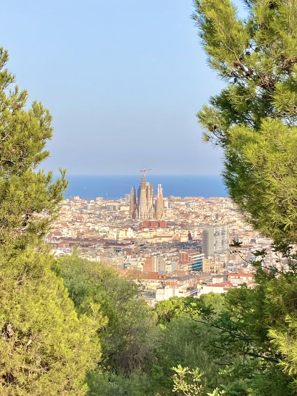 Sagrada Familia in Barcelona