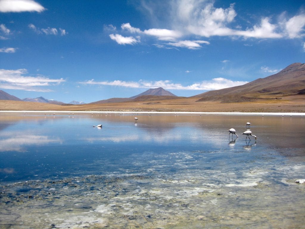 Salar de Uyuni 8 | Iris Timmermans