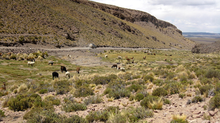 Salar de Uyuni landschap 6 Iris Timmermans